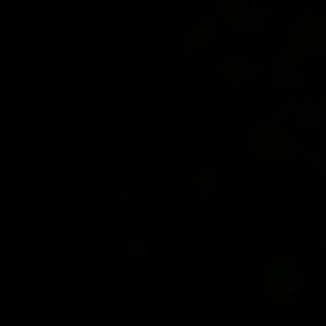 Meet your Posher, Dru